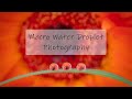 Macro Water Droplet Photography