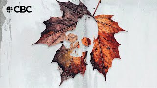 Celebrity Canada’s good reputation is a lie Wealth