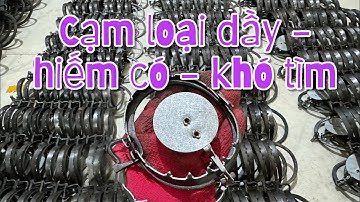 Vài Nghìn /1c cạm bẫy chuột lối mòn - bẫy chuột Ko cần mồi cực kỳ hiệu quả và kinh tế 