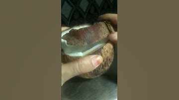 how to remove coconut from shell easily | kitchen hacks #coconutremove#shrots