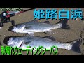 白浜 釣行日記 2020年10月31日