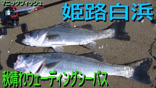 白浜 釣行日記 2020年10月31日