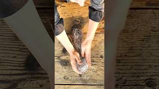 Download Lagu Schräge Vögel haben eine andere Sicht auf die Dinge♥️ MP3