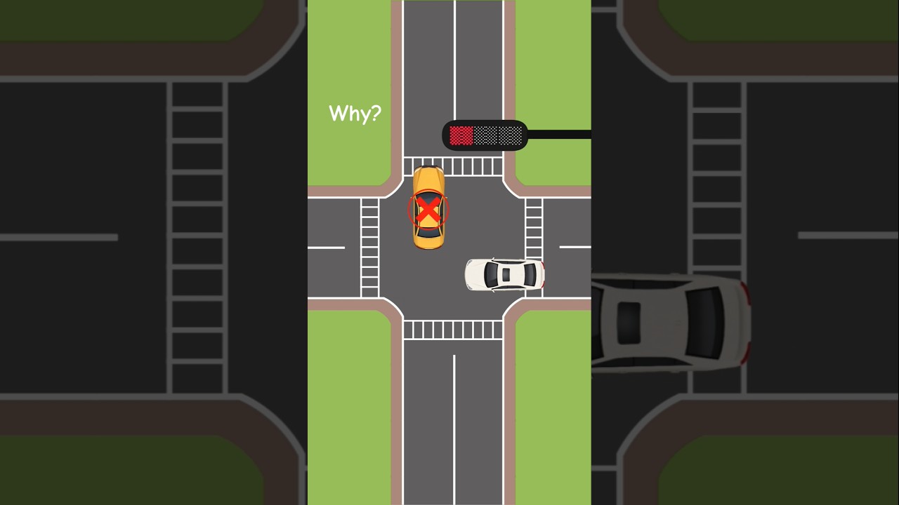 Traffic Signal Mistake at the Intersection | Yellow Light Confusion