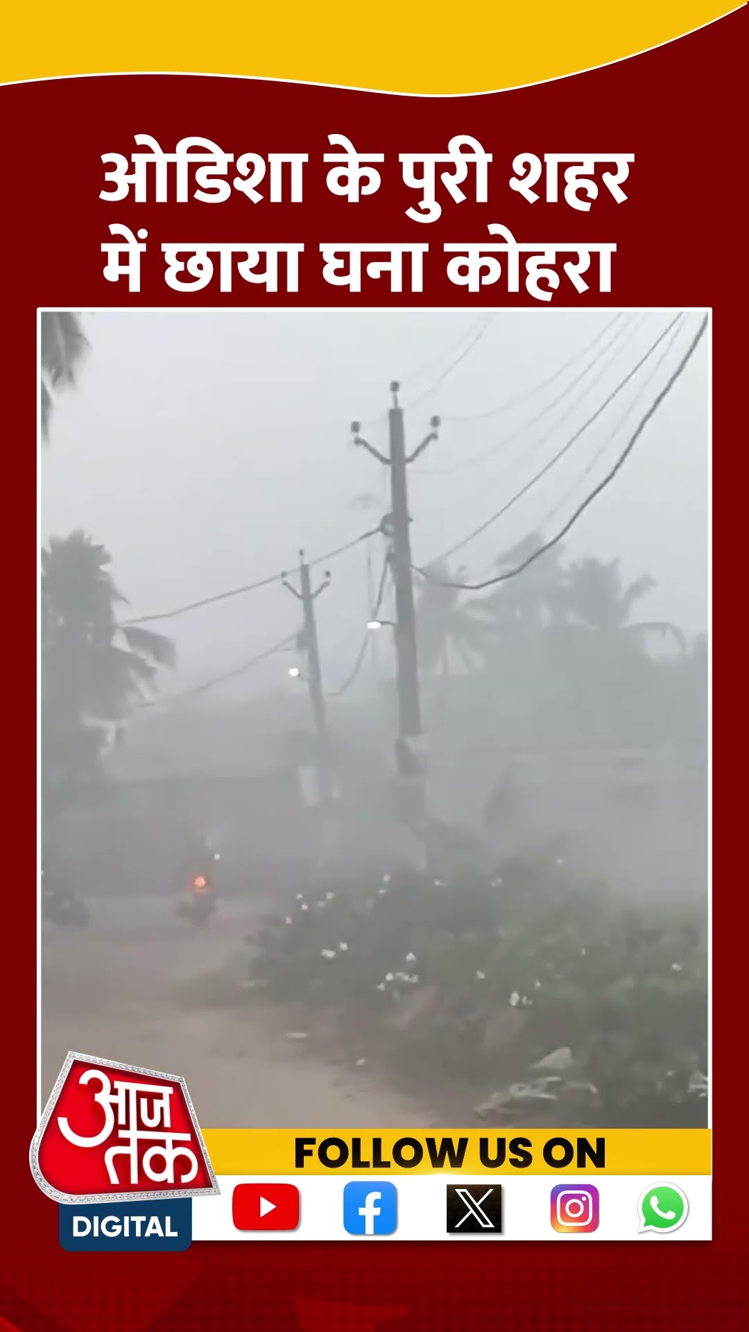 Odisha Weather: Puri शहर में सुबह छाया घना कोहरा | #shorts #shortvideo
