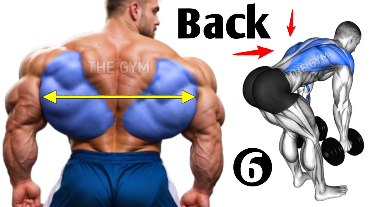 6 Big Back Exercises for Maximum Muscle Growth - Back Workout - YouTube
