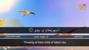 سورة الفيل   القارئ هزاع البلوشي   HD   hazae albulushi   Surat al