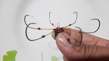 Lưỡi bềnh - Đặc điểm của lưỡi câu Lục bềnh