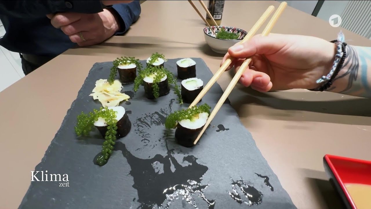 Algen - Nahrungsmittel mit kleinem CO2-Verbrauch | KlimaZeit vom 06.02.2026