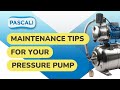 Maintenance Tips for your Pressure Pump | Pascali Pumps