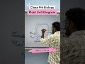 🌱 Plant Cell Diagram in Minutes | Class 9 Biology