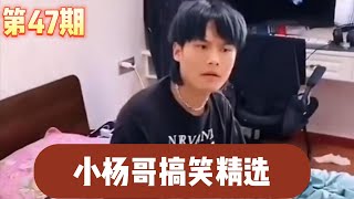 💕小杨哥搞笑精选--第47期 |Crazy Brother Yang Funny Selection47#疯狂小杨哥