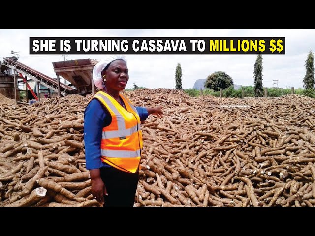 Nigerian Woman Making Millions Of Dollars From Cassava Processing class=