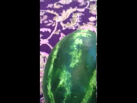 أبو جابر يشرح عن الرقي