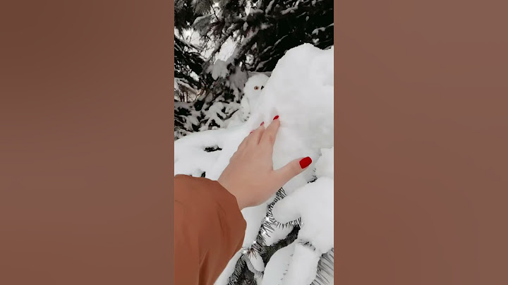 Мне пришло письмо из Хогвартса 🦉