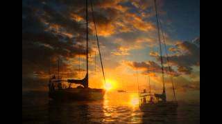 Whistle Wing V Anchored In Haapiti, Moorea