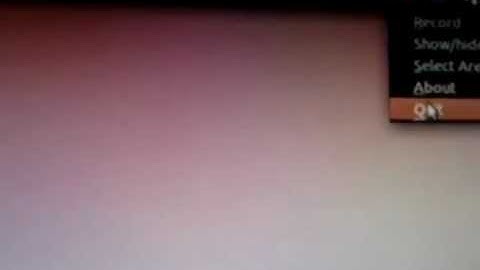 Ubuntu 11.10 Video Recording Mess