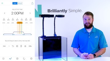 Adding a New Control Point in your myAI Light program
