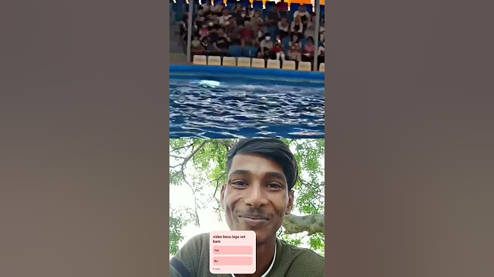 jab dolphin trick me hui gadbad