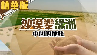 【沙漠變綠洲】精華版