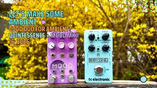 GOOD DUO for AMBIENT? :: TC Electronic Quintessence + Chase Bliss MOOD MKII
