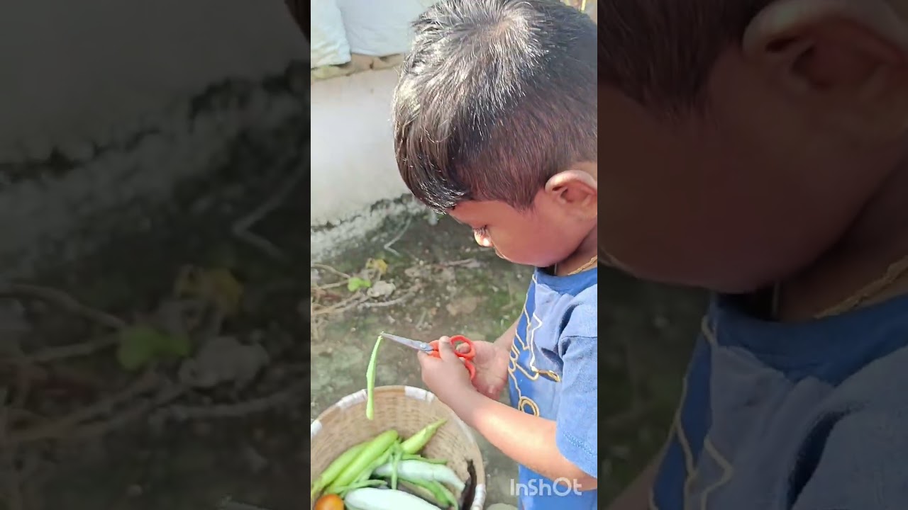 ബീൻസ് വിളവുതന്നു തുടങ്ങി... Sunday special 