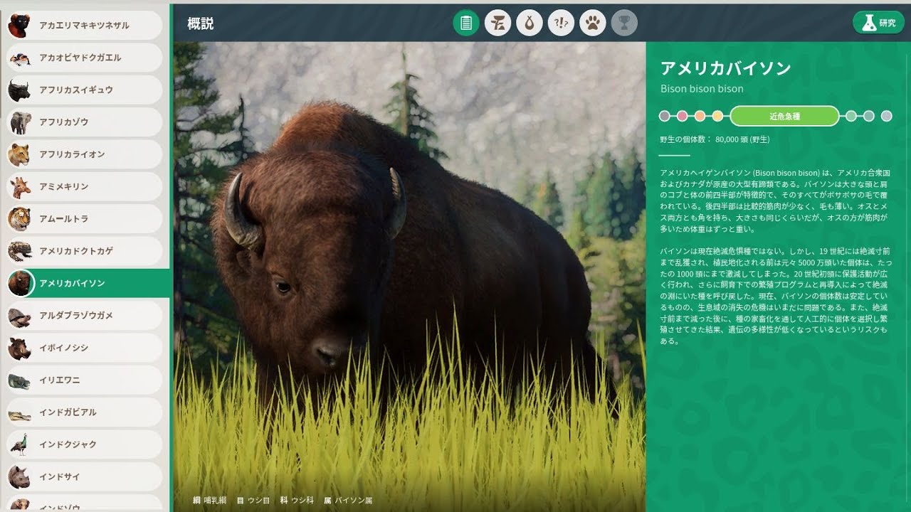 動物観察21 アメリカバイソン Youtube