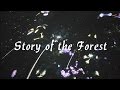 Story of the Forest | Love Bella Vida