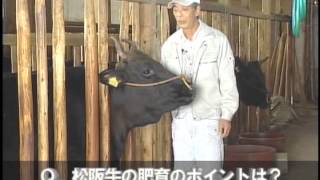 松阪牛を訪ねて