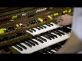 Django Django - Gear Guide