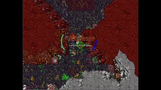 Tibia Quest Wayfarer Outfit / Addons