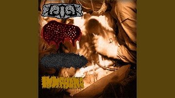 Thumbnail of What's Rotten In The Anal