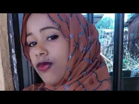 Musxaafaa Harawwee Ayyiiyyoo Too Yaa Abbaa Koo Maaliif Si Fayyaada Jireenyii Koo