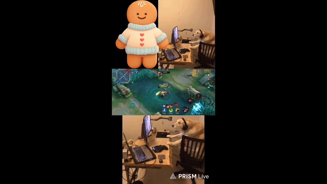 Live streaming of Vicky