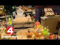 Glass Pumpkin Harvest Fest celebrates 15th year in Dearborn