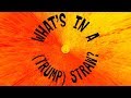 WHAT'S IN A (TRUMP) STRAW?