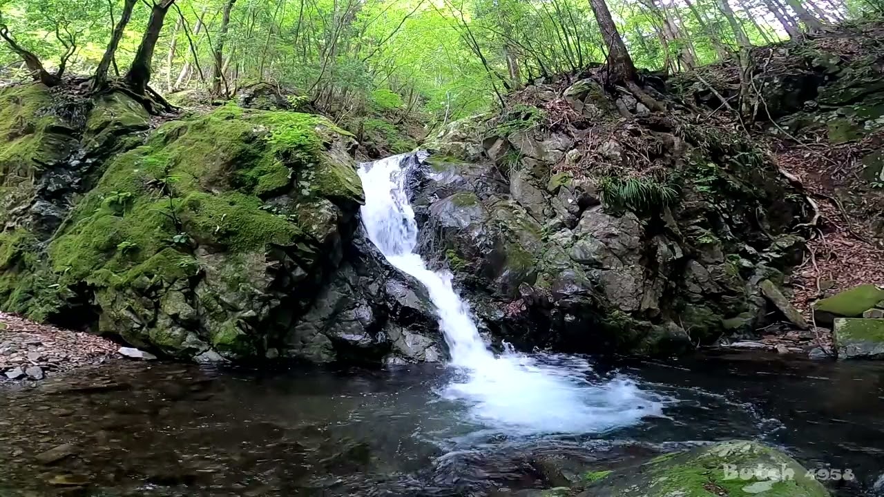 531-09】【菅平の滝 道中滝】【東京都 檜原村】 【ブッチの3分