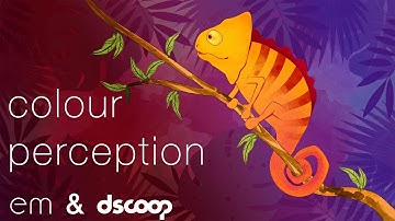 Colour Perception with DSCOOP