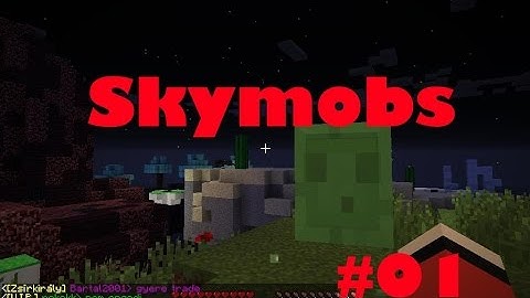 Mestermc Skymobs 1.rész