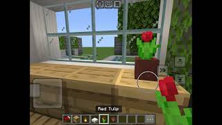 Last video for the Minecraft mansion part 3