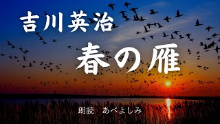 【朗読】吉川英治 「春の雁」 朗読・あべよしみ