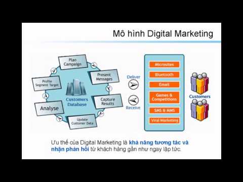 Chương 1 - Mini Master of Digital Marketing