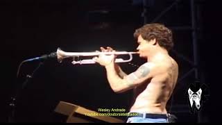 Red Hot Chili Peppers - Flea’s Trumpet Treated by John (Live in Hyde Park 2004) (Video)