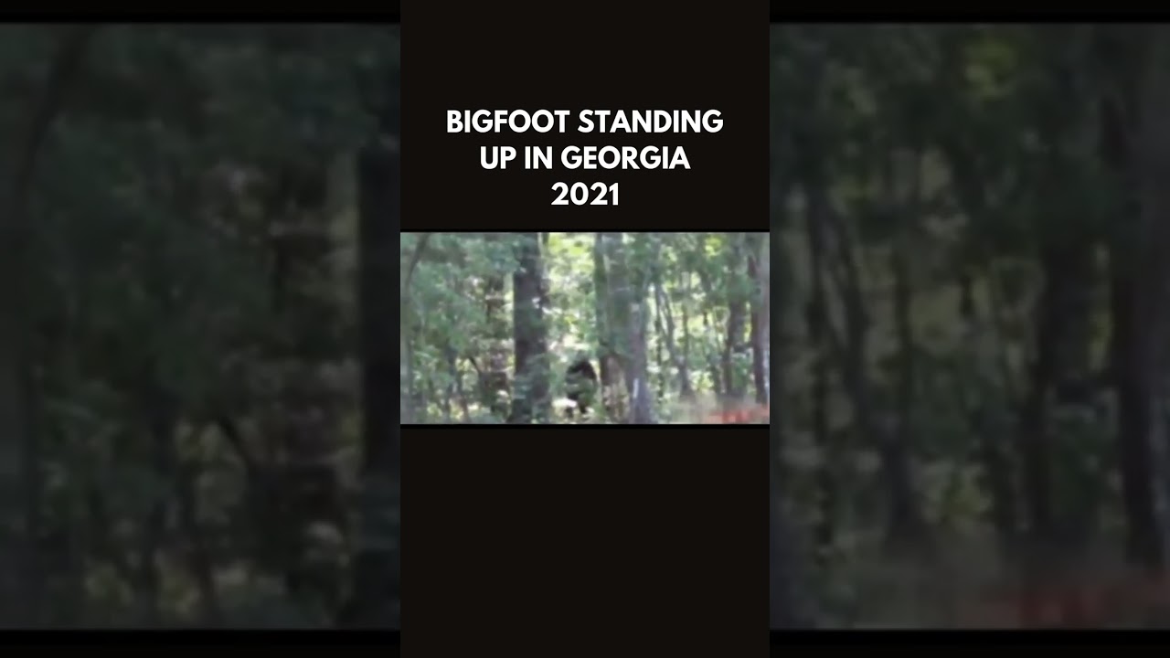 Footage of Bigfoot in Georgia, Circa 2021 #bigfoot #sasquatch #publishtoall #bigfootsighting