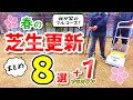 【春の芝生更新まとめ】しっかり準備してイキイキ芝生を育てましょう!！（更新作業８選＋1）サッチングから施肥・害虫駆除まで我が家のフルコース）