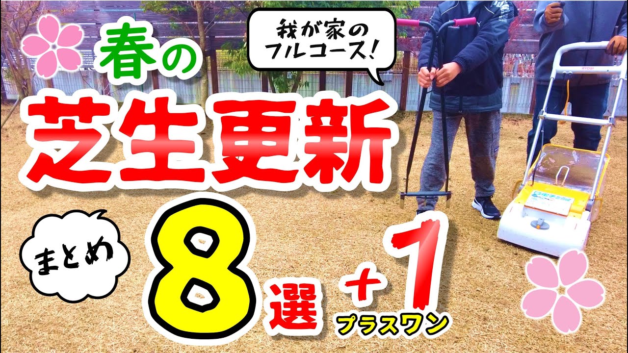 【春の芝生更新まとめ】しっかり準備してイキイキ芝生を育てましょう!！（更新作業８選＋1）サッチングから施肥・害虫駆除まで我が家のフルコース）