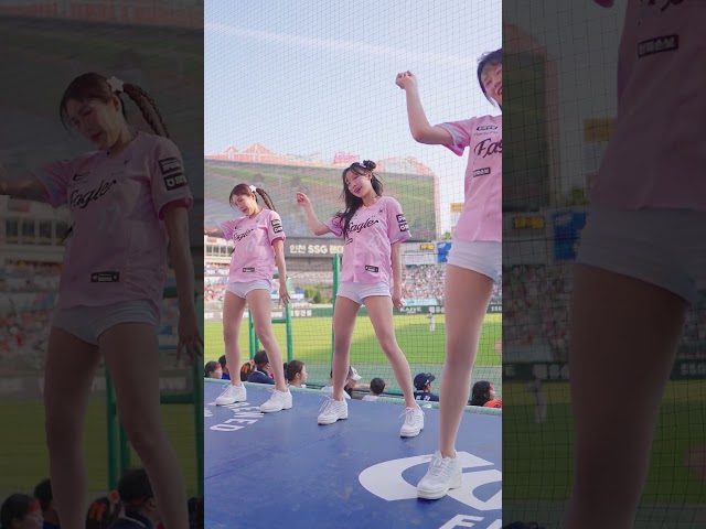 2026 한화이글스 치어리더 공연 직캠