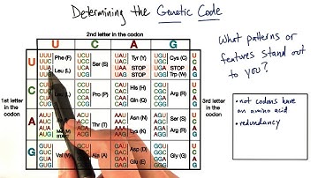 Genetic Code - Tales from the Genome