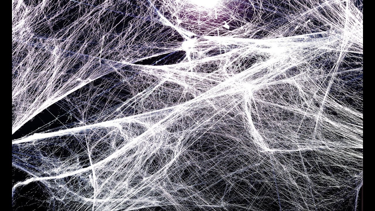 The Tiny Titans Spinning Bulletproof Silk