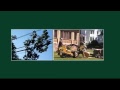 Tree service cost in cheshire CT